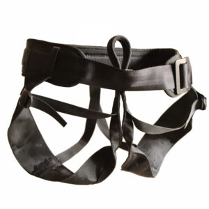 ARNES DANZA